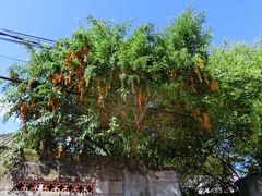 -Warung Babi Guling Ibu Oka 3