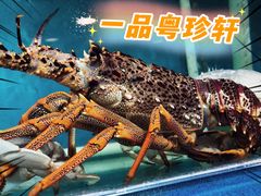 -一品粤珍轩(吴中路店)