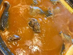 红煨甲鱼汤-潇湘甲鱼村(清河店)