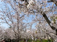 -广富林郊野公园