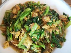 扇贝肉小白菜炒粉-百味饺子城•海鲜家常菜(秦皇岛店)