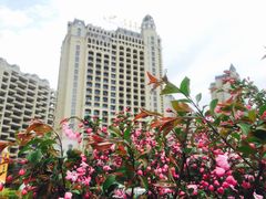 -碧桂园凤凰城酒店(南京店)