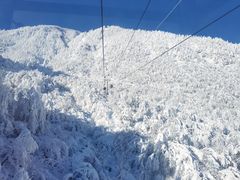 -西岭雪山大飞水景区