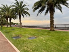 -野狸岛