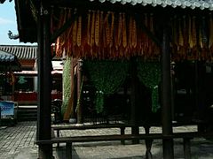 -茯茶镇