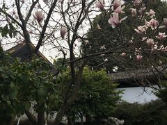 -常熟方塔园