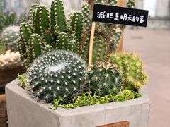 -驳二艺术特区