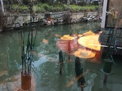 -映像徐州(滨湖店)