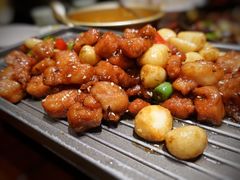 -老板恋上鱼(荣盛广场店)