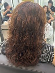 -YESIDO椰岛造型烫发染发