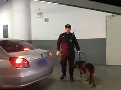 -梅赛德斯奔驰文化中心·停车场