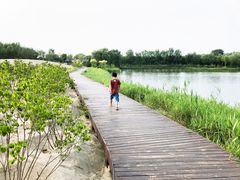 -东郊湿地公园