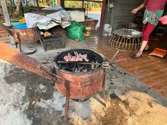 -西双版纳傣族园