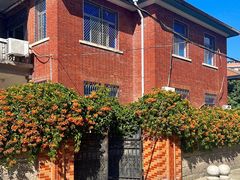 -溪岸路花鸟市场