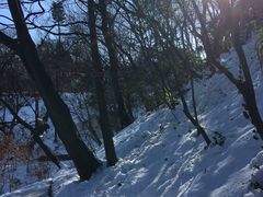 -紫金山天文台