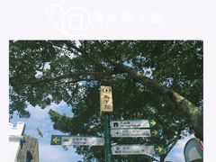 -南丫岛