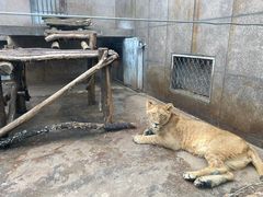 -西安秦岭野生动物园