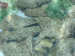 -海天楼(天津泛太平洋店)