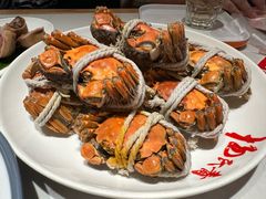 -杨氏青龙虾·羊蝎子(金盛路总店)