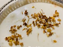 -Punchline Coffee&Roaster(同济大学店)