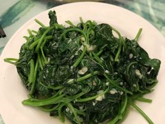 -四姑娘川味海鲜(八爪鱼店)