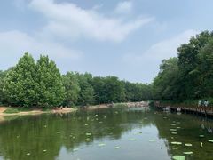 -云岗森林公园