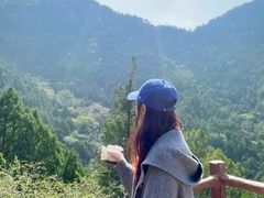 -佛慧山