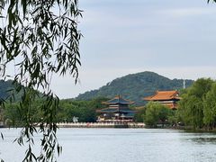 -天下玉苑