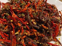 干煸牛肉丝-马海涛牛肉串·午市牛腩饭·烧烤夜宵(领汇广场店)