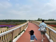 -江苏三台山国家森林公园