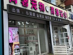 -青奢宠物·青奢猫舍