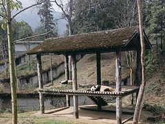 -中国大熊猫保护研究中心雅安碧峰峡基地