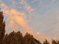 -河南牧业经济学院(龙子湖校区)