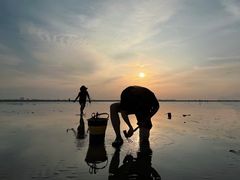 -南汇嘴观海公园