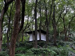 -中国茶叶博物馆(双峰馆区)