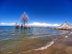 -青海湖国家重点风景名胜区