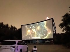 -枫花园汽车电影院(朝阳公园店)