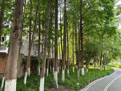 -坂吉屋·居酒屋深夜食堂(龙湖店)