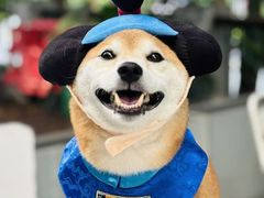 -ADO KAFE(大学城店)