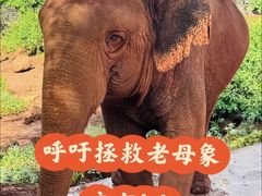 -海南热带野生动植物园