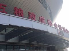 -成都金融城演艺中心