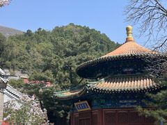 -潭柘寺景区