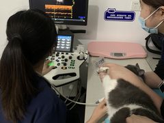 -拜鲁耶动物诊疗中心·宠家动物医院