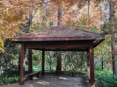 -东平国家森林公园