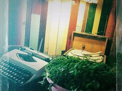 -壹六猫窝(谷德店)