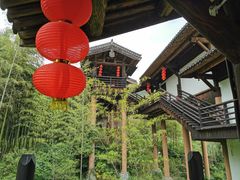 -大唐贡茶院