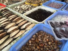 iphone_upload_pic-大湾区中央湿地公园
