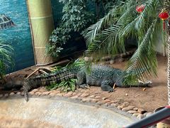 -西霞口神雕山野生动物世界