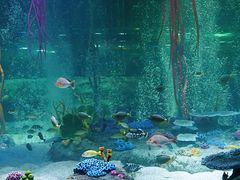 -沈阳海洋探索中心