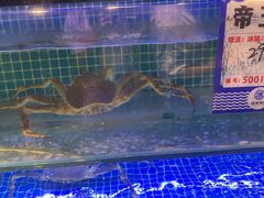 -驻海渔市(置信店)